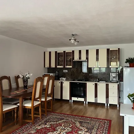 Beautiful House In A Very Quite Area * Alba Iulia